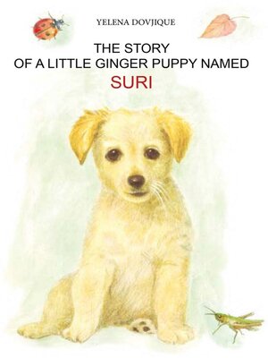 cover image of The story of a little ginger puppy girl named Suri